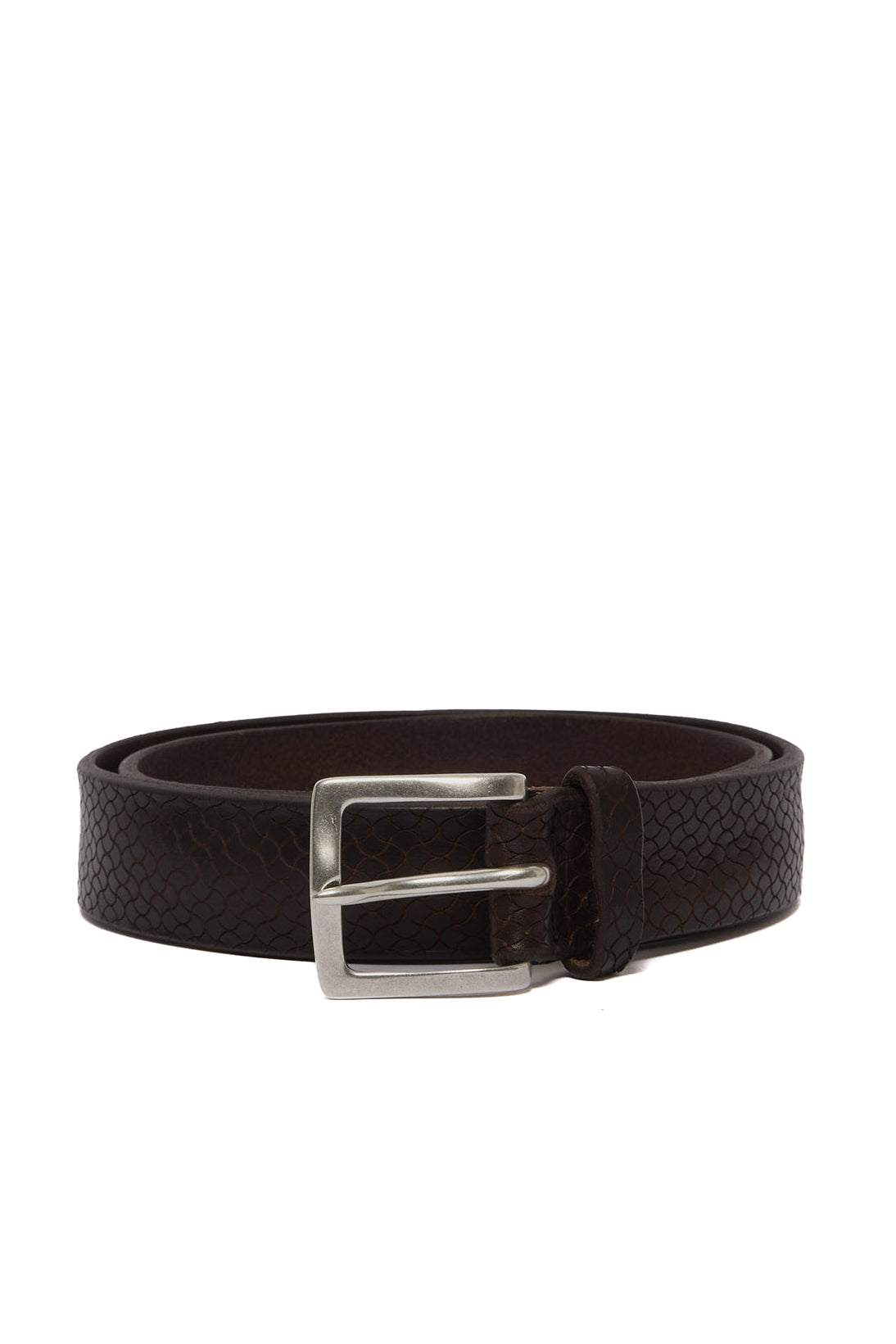 Orciani Cintura in pelle bull laserata U08441_BUS T.MORO
