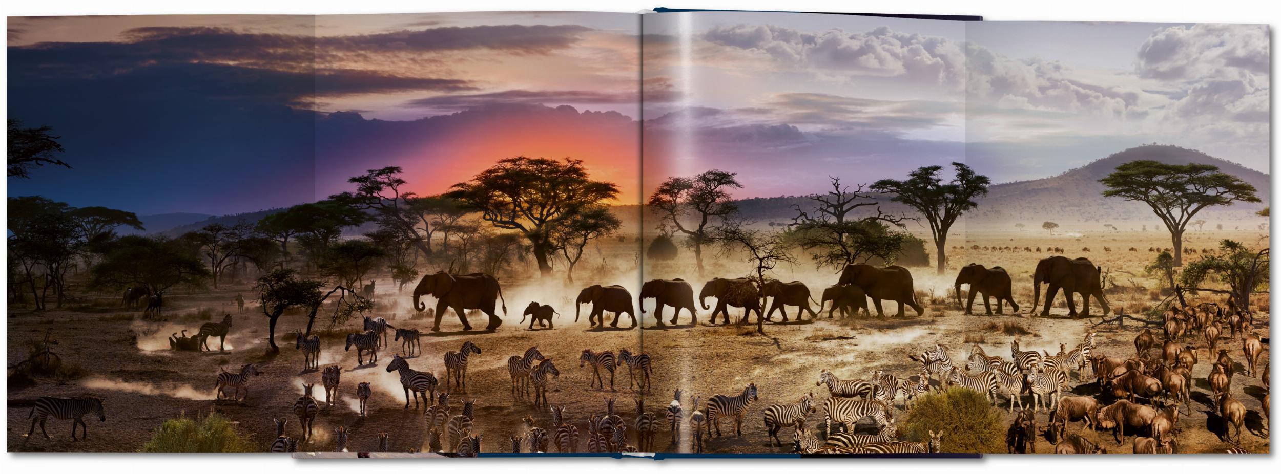 Stephen Wilkes. Day to Night. XL DAY TO NIGHT NN Taschen