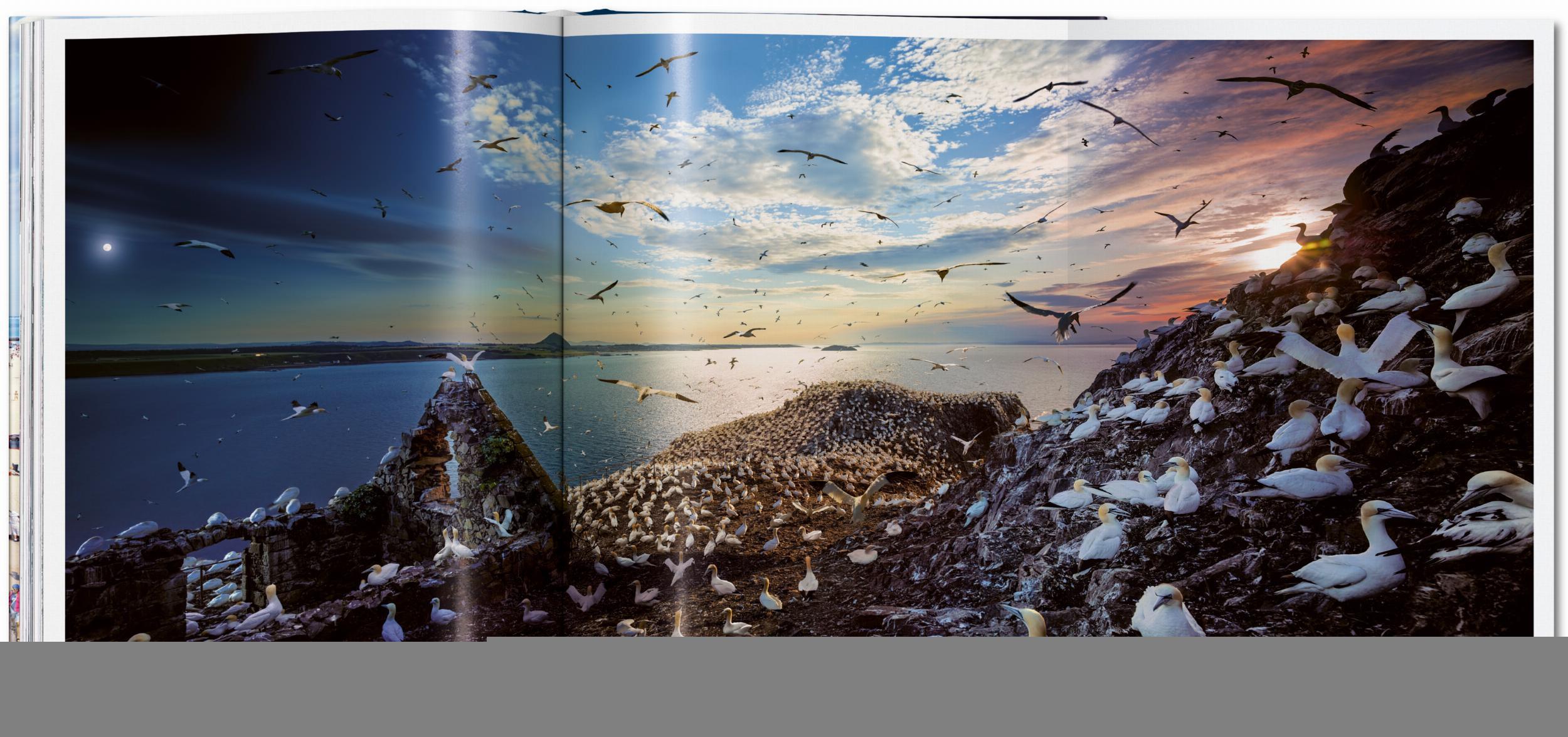 Stephen Wilkes. Day to Night. XL DAY TO NIGHT NN Taschen