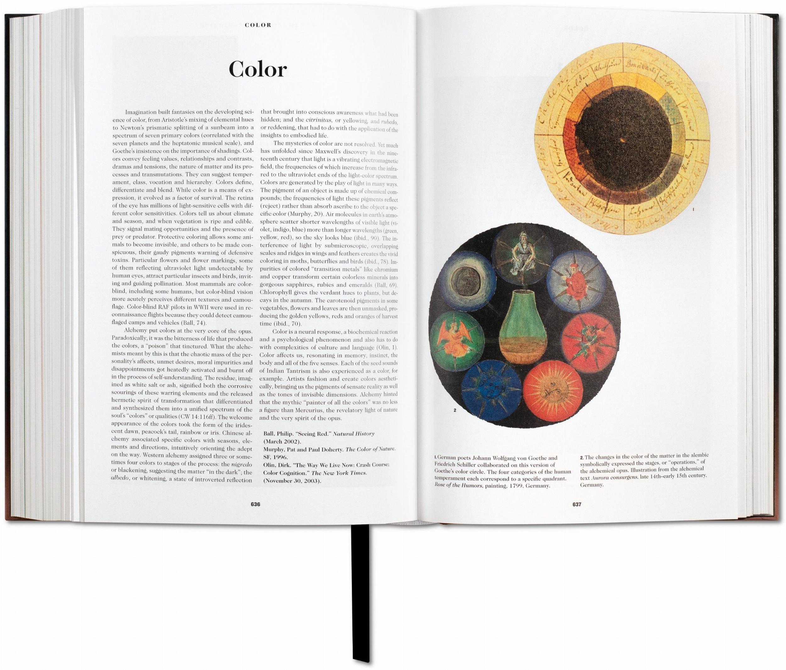 Taschen Il libro dei simboli. Riflessioni sulle immagini archetipiche BOOK OF SYMBOLS NN