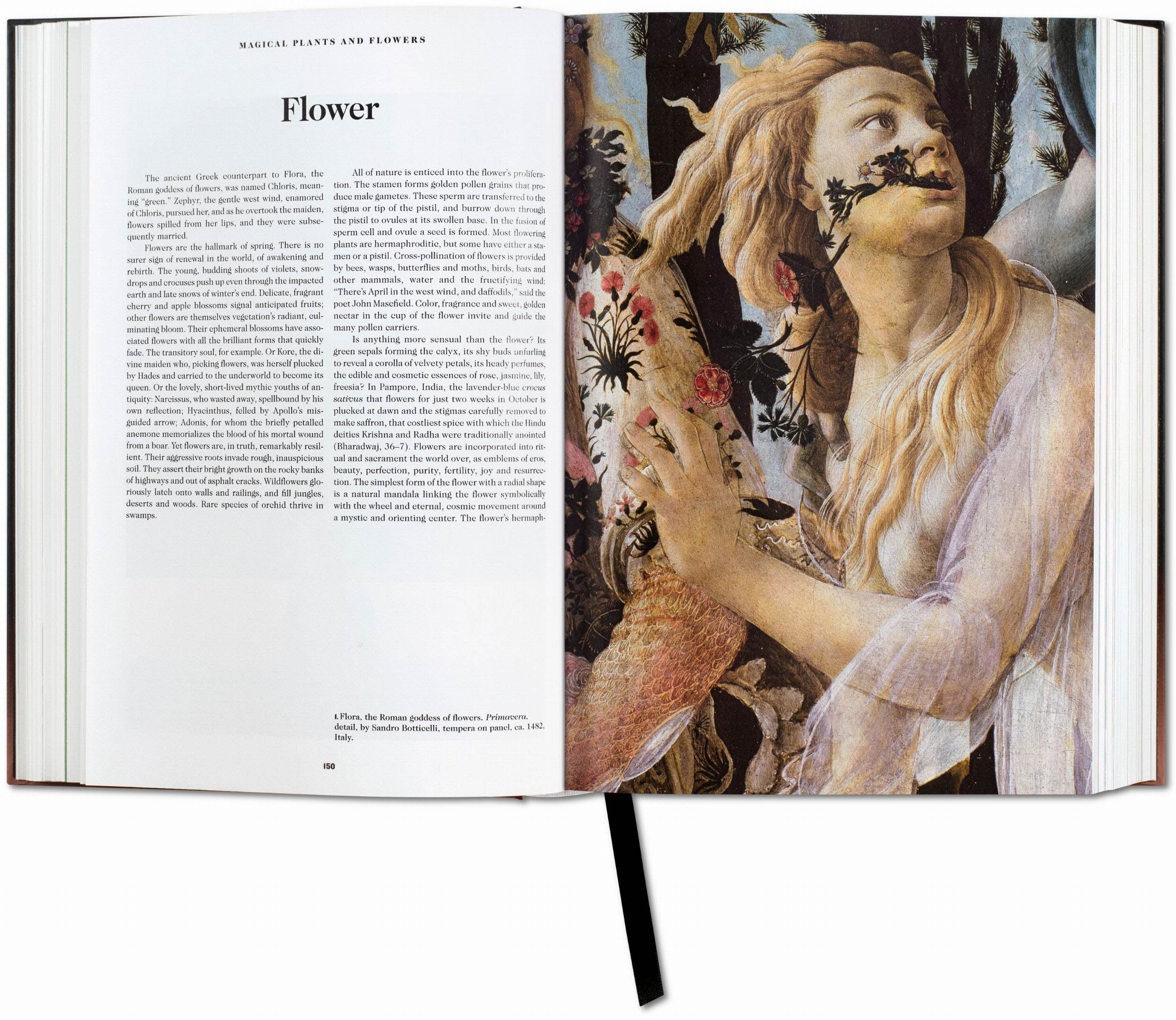 Taschen BOOK OF SYMBOLSNN