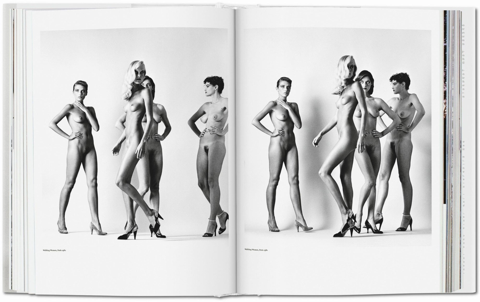 Taschen HELMUT NEWTON XLINT