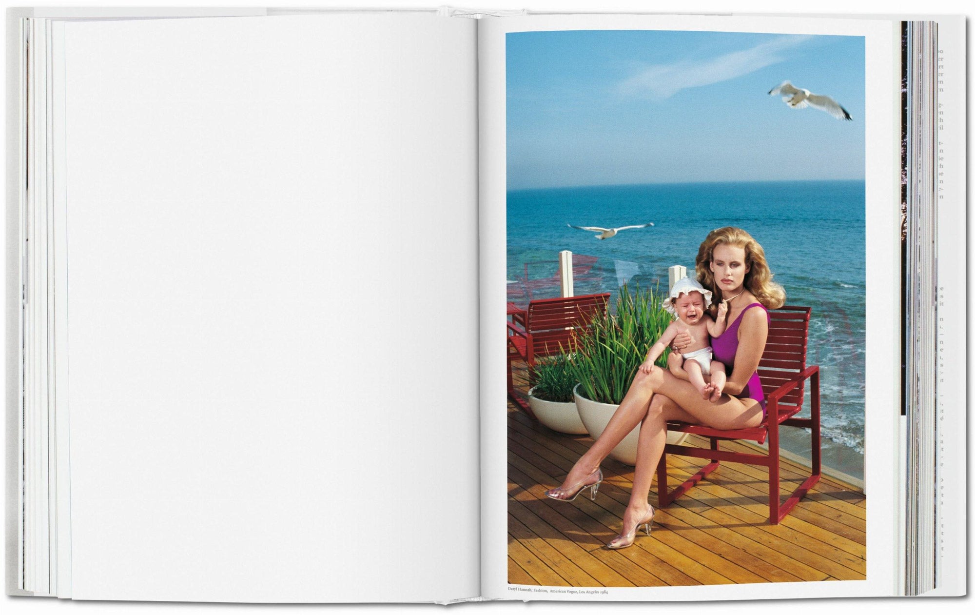 Taschen HELMUT NEWTON XLINT