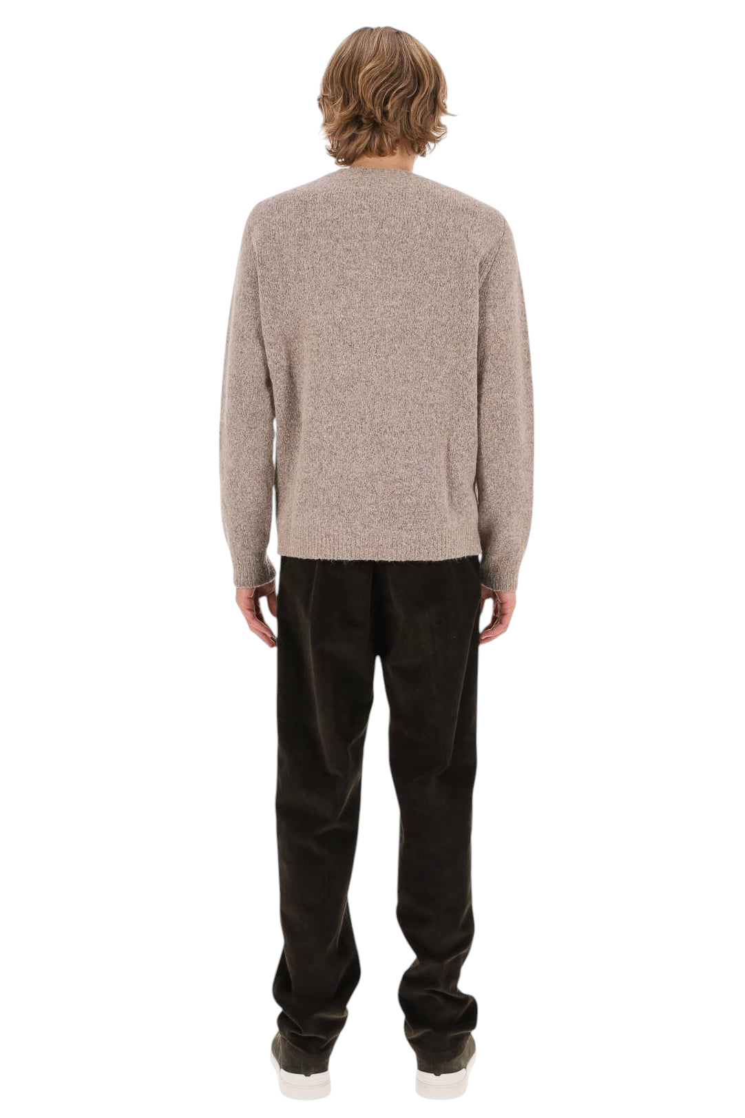 Roberto Collina Maglia girocollo in cotone-cashmere 3MYB43001 05 