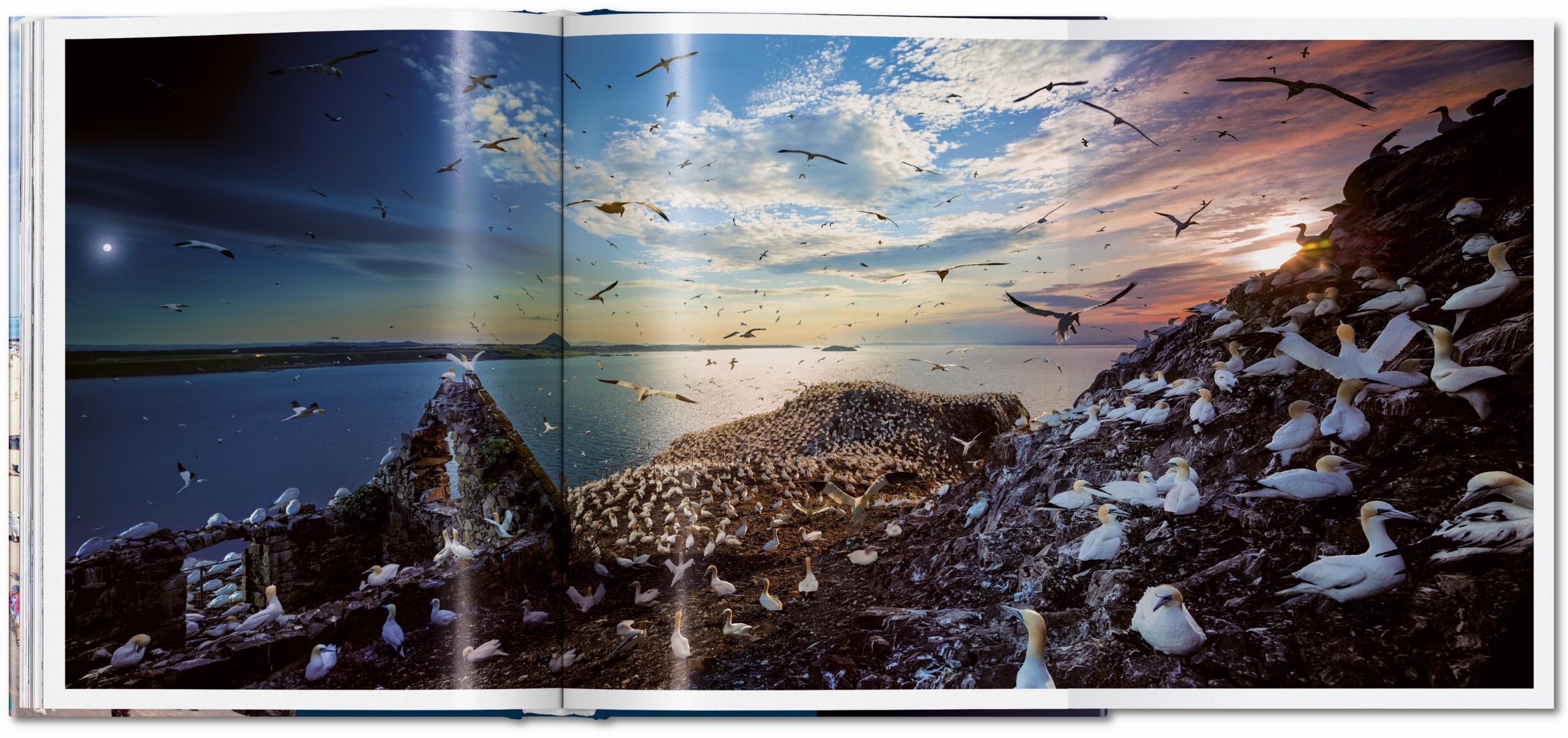 Taschen Stephen Wilkes. Day to Night. XL DAY TO NIGHT NN 