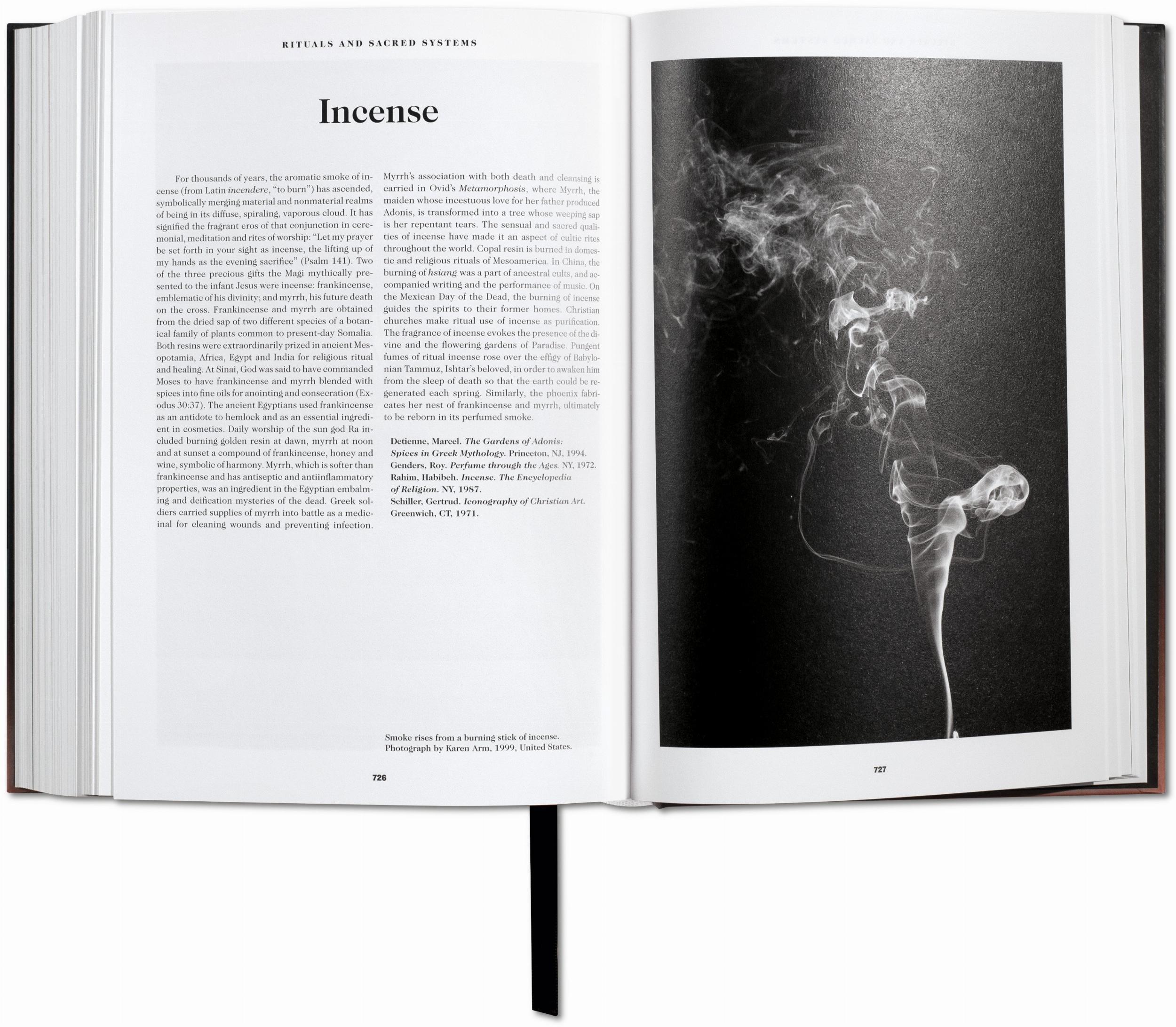 Taschen Il libro dei simboli. Riflessioni sulle immagini archetipiche BOOK OF SYMBOLS NN 